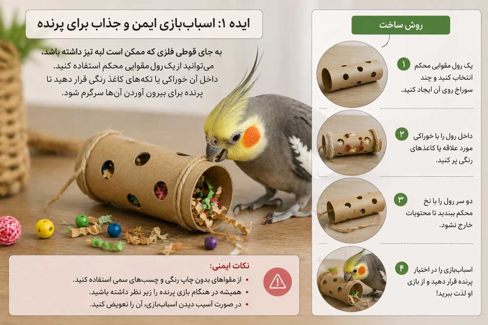 طوطی در حال بازی با یک قوطی نوشابه ایمن و بدون لبه تیز به‌عنوان اسباب‌بازی دست‌ساز