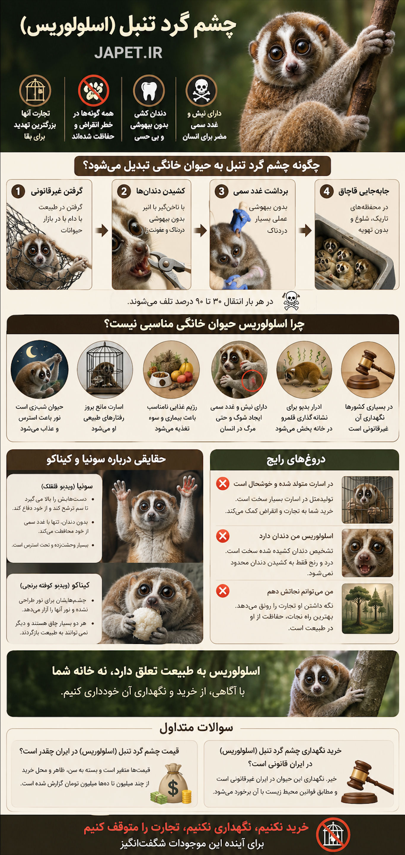 اینفوگرافیک فارسی درباره چشم‌گرد تنبل (اسلولوریس)، قاچاق، آزار در تجارت حیوانات خانگی، خطر انقراض و دلایل نگهداری نکردن از این حیوان.