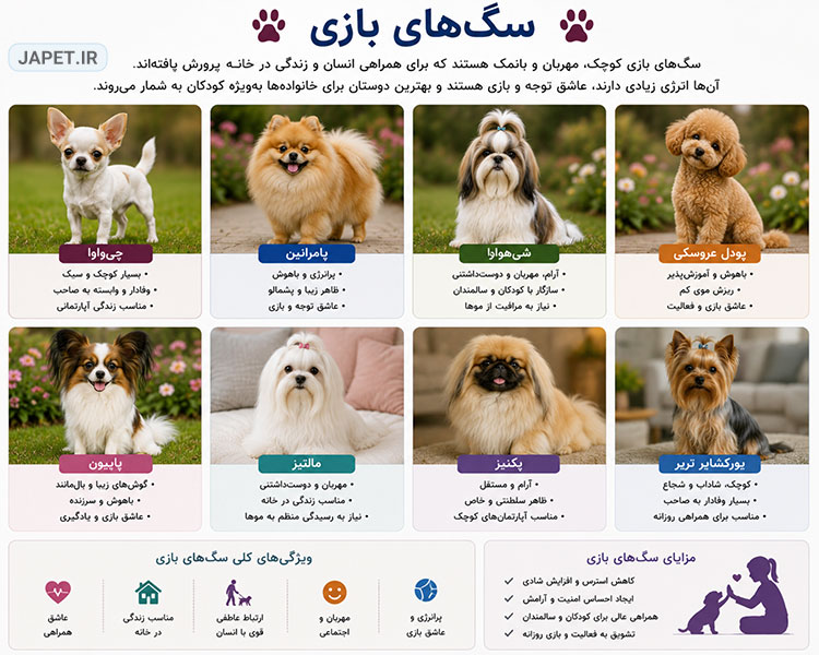 اینفوگرافیک سگ‌های بازی (Toy Dogs) شامل نژادهایی مانند شی هواهوا، پامرانین، شیتزو، پودل عروسکی، پاپیلون، مالتیز، پکینیز و یورکشایر تریر که ویژگی‌هایی مانند جثه کوچک، شخصیت مهربان، مناسب بودن برای زندگی آپارتمانی، وابستگی به صاحب، هوش، بازیگوشی و محبوبیت به‌عنوان سگ‌های همراه را همراه با تصاویر واقعی معرفی می‌کند.