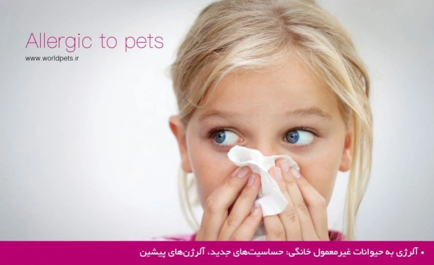 آلرژی به حیوانات غیرمعمول خانگی: حساسیتهای جدید، آلرژنهای پیشین