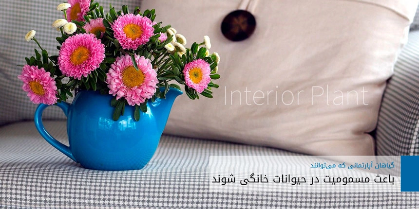 interior-plant-1