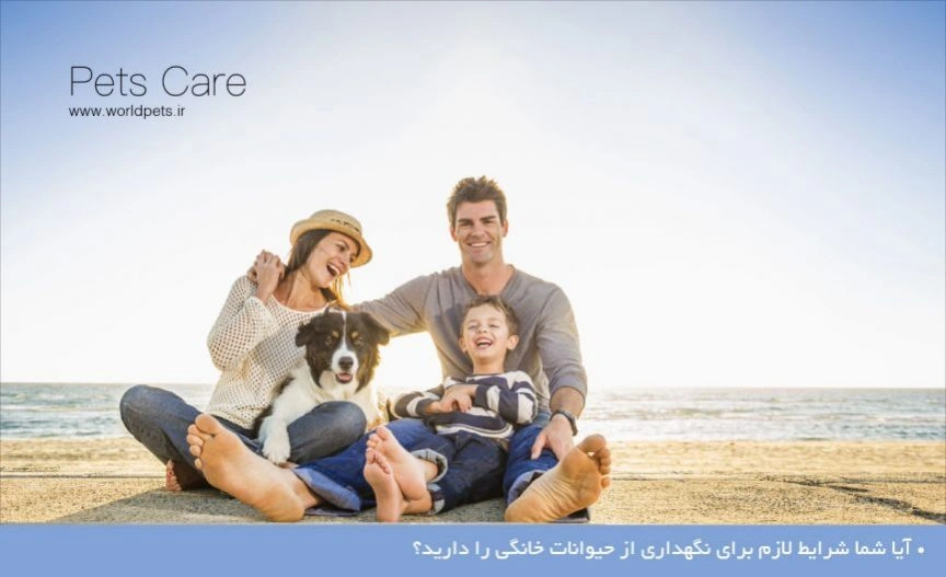آیا شما شرایط لازم برای نگهداری از حیوانات خانگی را دارید؟