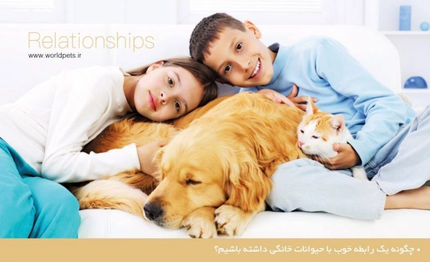 چگونه یک رابطه خوب با حیوانات خانگی داشته باشیم؟