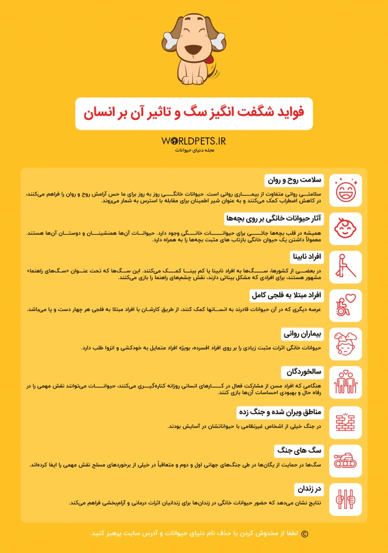 اینفوگرافیک فواید سگ