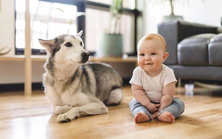 نگهداری از سگ برای بچه‌ها