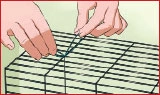 اسباب بازی خوکچه هندی