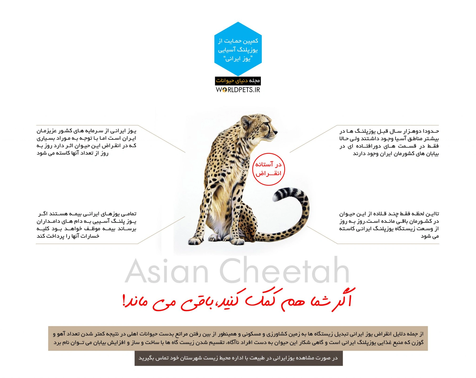 اینفوگرافیک یوز ایرانی