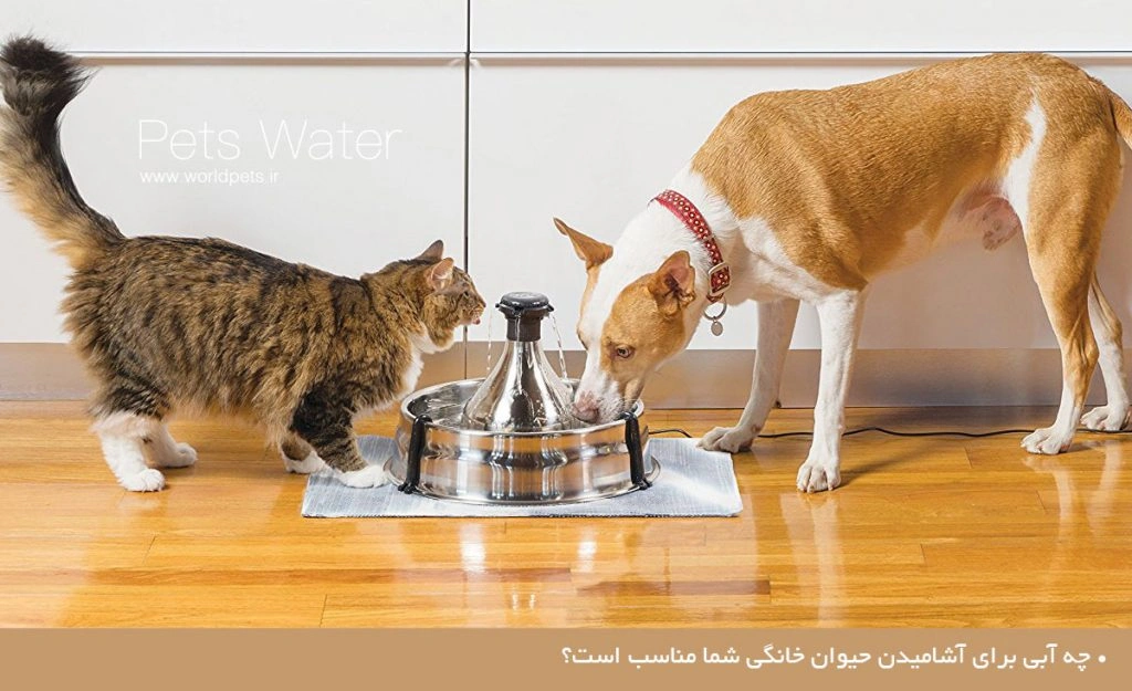 آب حیوانات خانگی