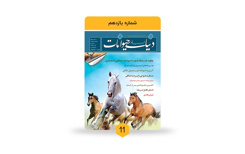 انتخاب مدیریت سازمان محیط زیست