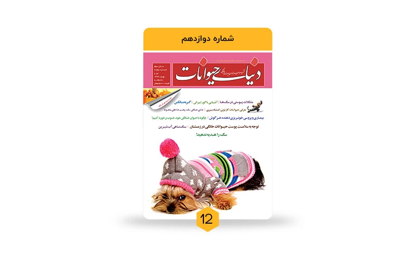 محمدعلی اینانلو کیست؟