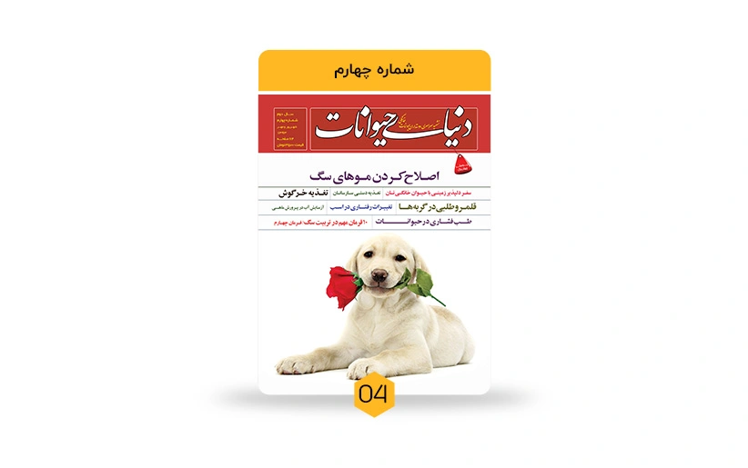 شرایط نگهداری حیوانات خانگی چیست؟!!