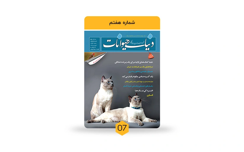 مسئولیتها و حقوق صاحبان حیوانات خانگی در ایران